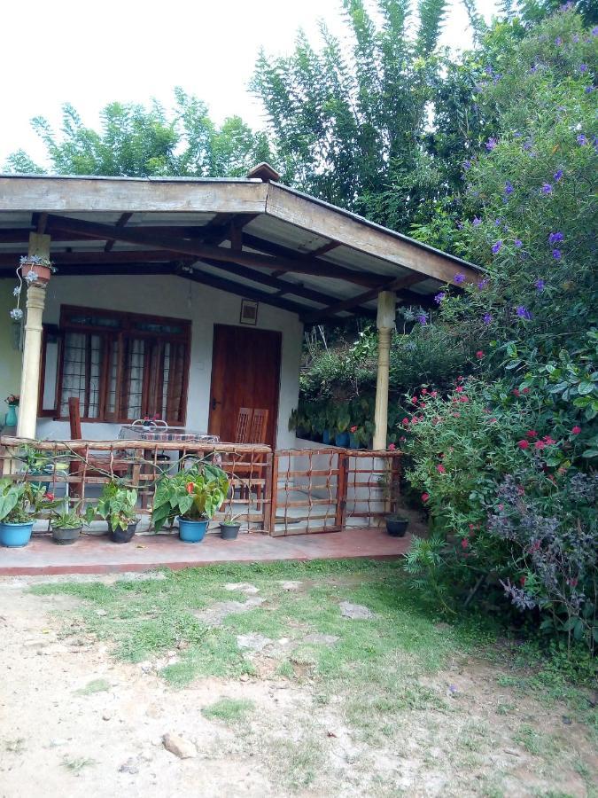 Ella J Villa Extérieur photo