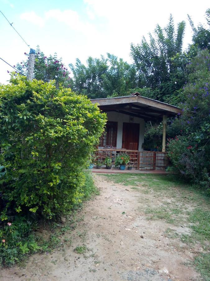 Ella J Villa Extérieur photo